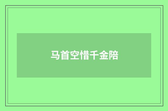 马首空惜千金陪