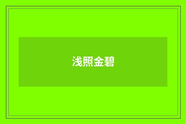浅照金碧