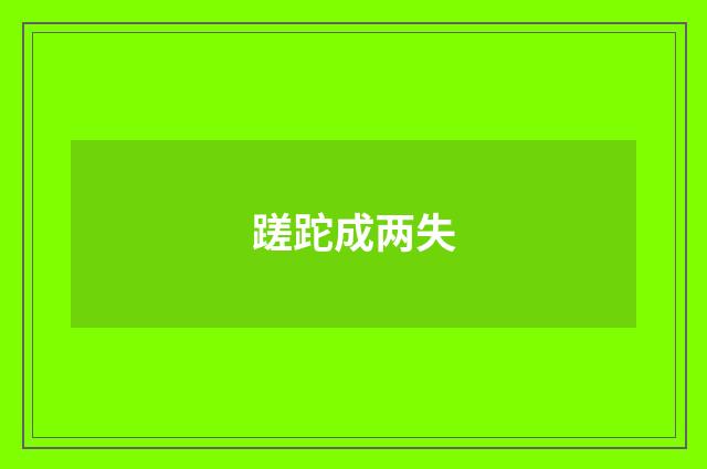 蹉跎成两失