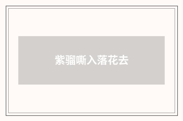 紫骝嘶入落花去