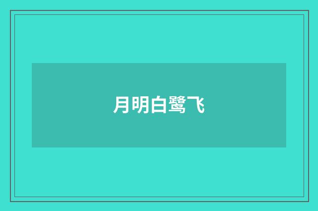 月明白鹭飞