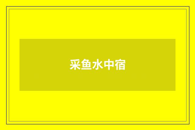 采鱼水中宿