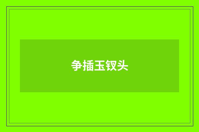 争插玉钗头