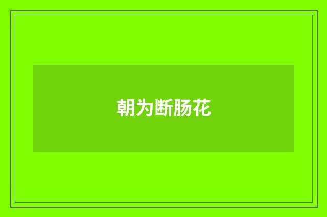 朝为断肠花