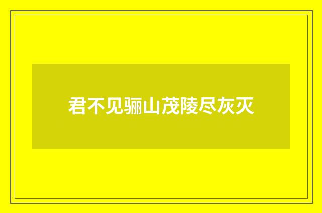 君不见骊山茂陵尽灰灭