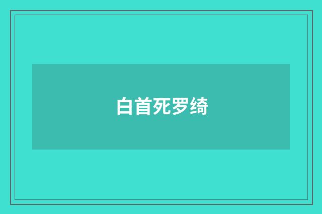 白首死罗绮