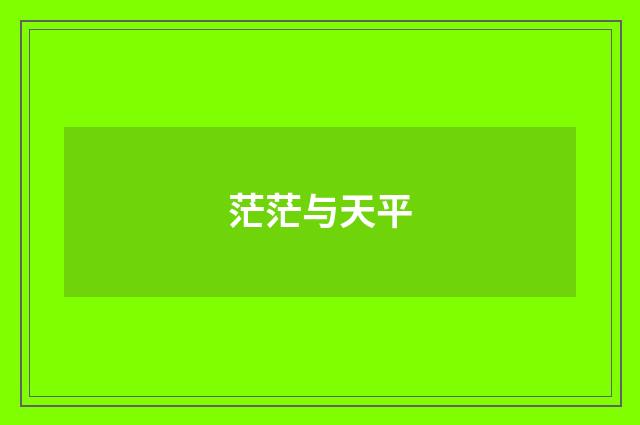 茫茫与天平