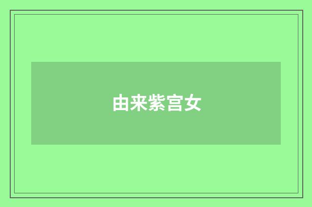 由来紫宫女