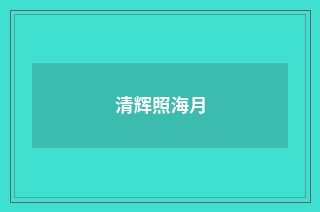 清辉照海月