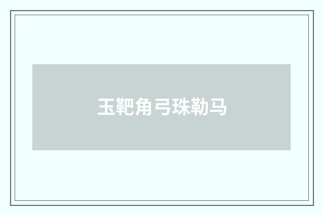 玉靶角弓珠勒马