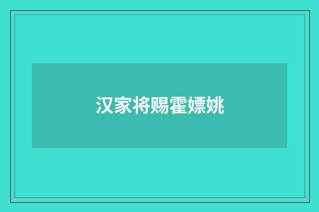 汉家将赐霍嫖姚