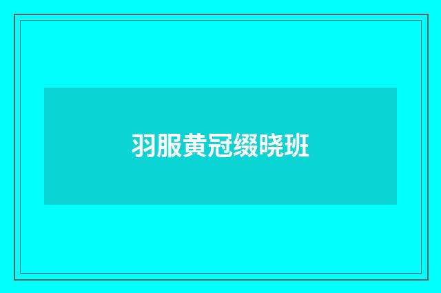 羽服黄冠缀晓班
