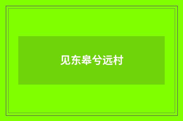 见东皋兮远村