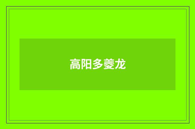 高阳多夔龙