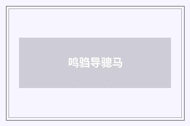 鸣驺导骢马