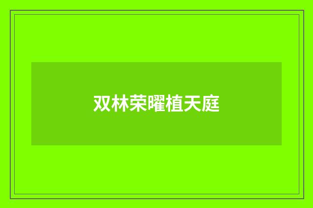 双林荣曜植天庭