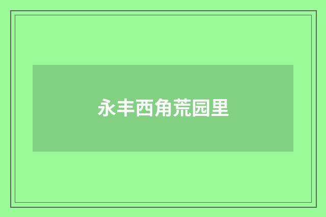 永丰西角荒园里