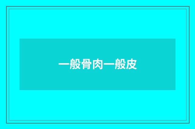 一般骨肉一般皮