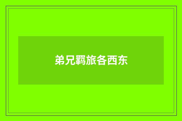 弟兄羁旅各西东