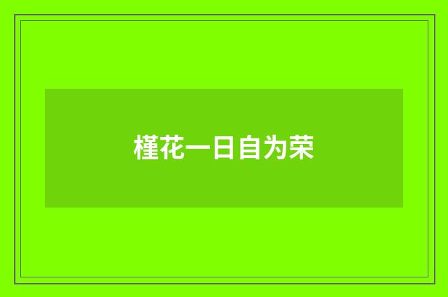 槿花一日自为荣