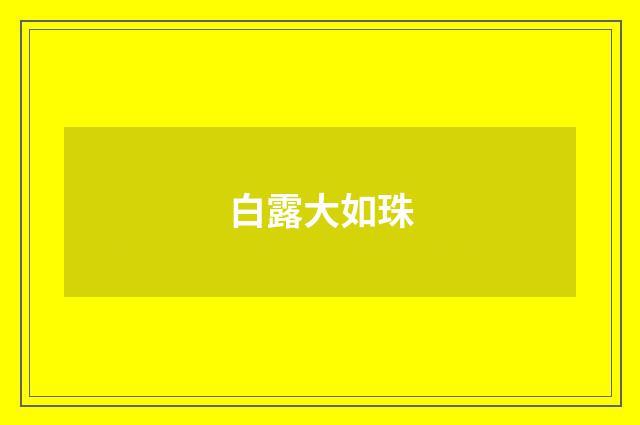 白露大如珠