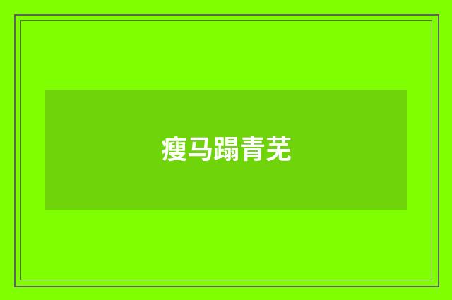 瘦马蹋青芜