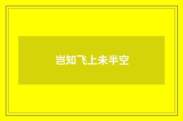 岂知飞上未半空