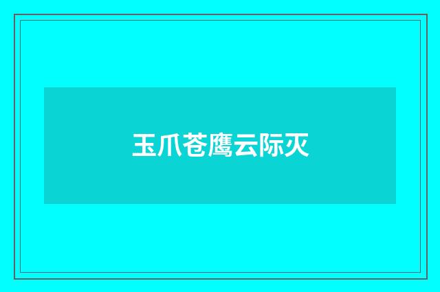 玉爪苍鹰云际灭
