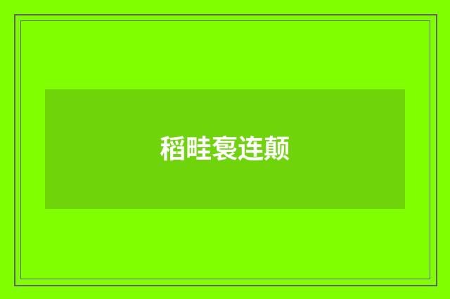 稻畦袌连颠