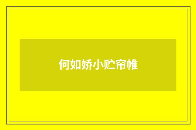 何如娇小贮帘帷