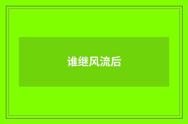 谁继风流后
