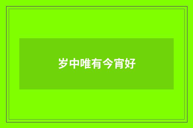岁中唯有今宵好