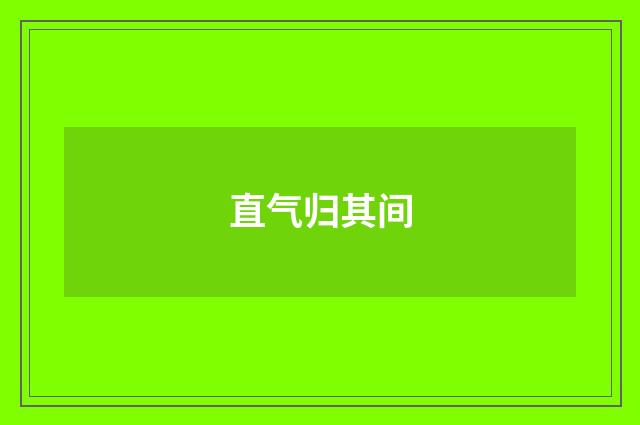 直气归其间