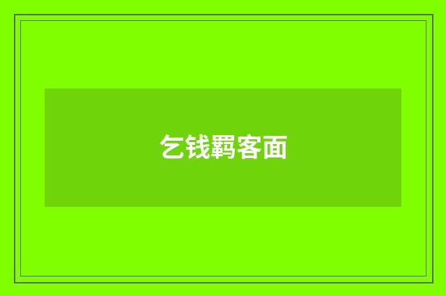 乞钱羁客面