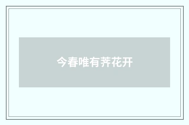 今春唯有荠花开