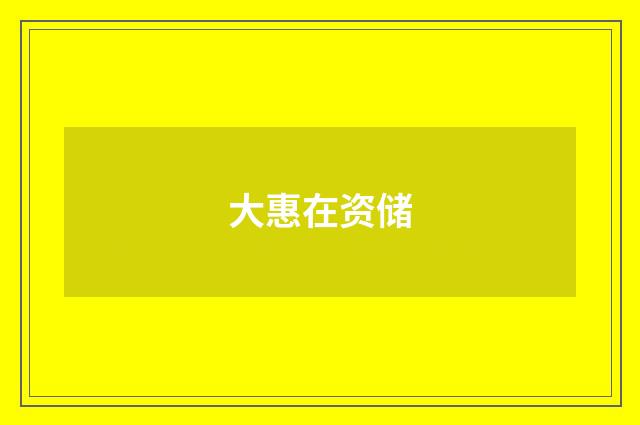大惠在资储
