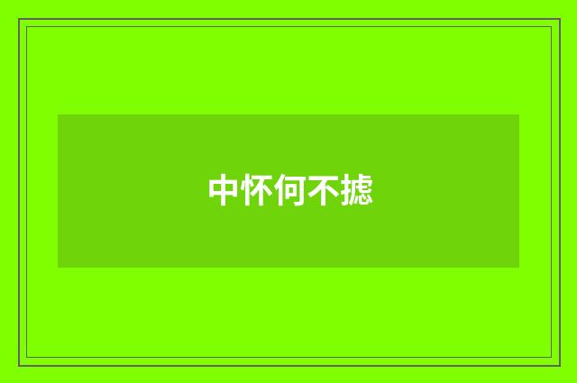 中怀何不摅
