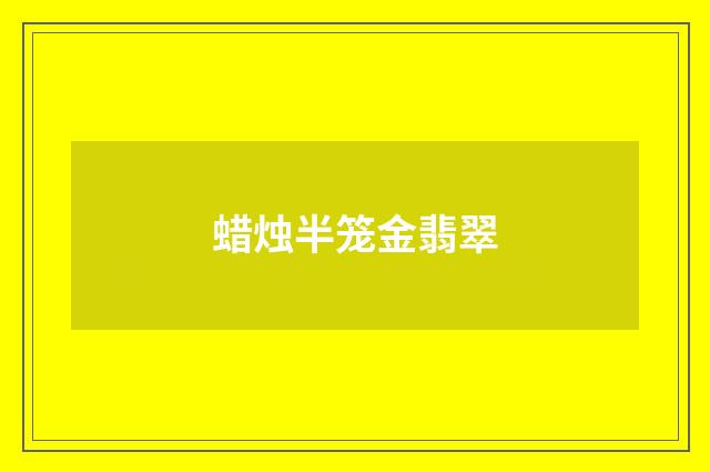蜡烛半笼金翡翠