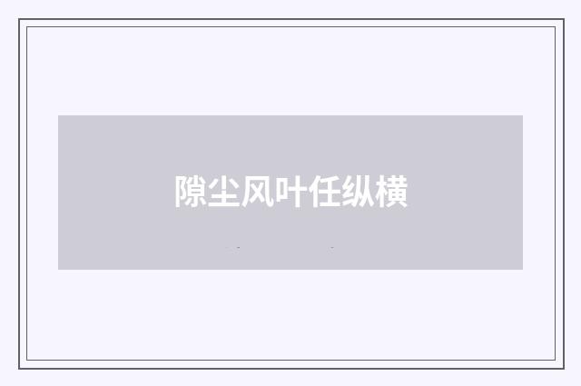 隙尘风叶任纵横