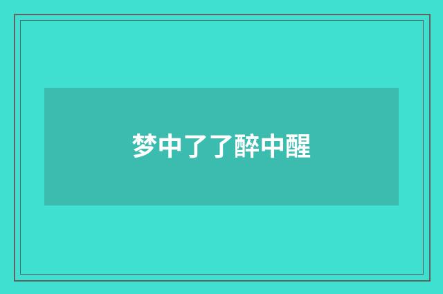 梦中了了醉中醒