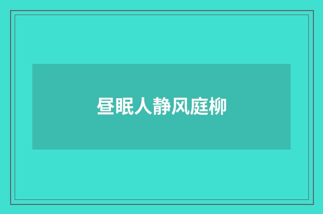 昼眠人静风庭柳