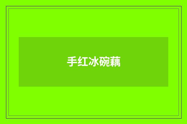手红冰碗藕