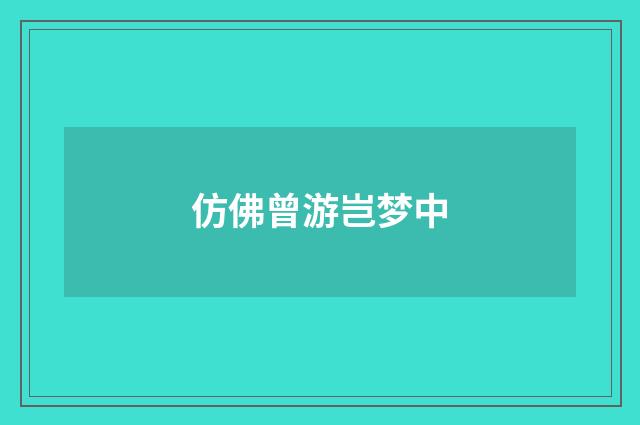 仿佛曾游岂梦中