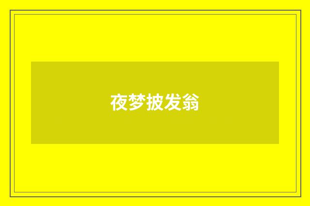 夜梦披发翁