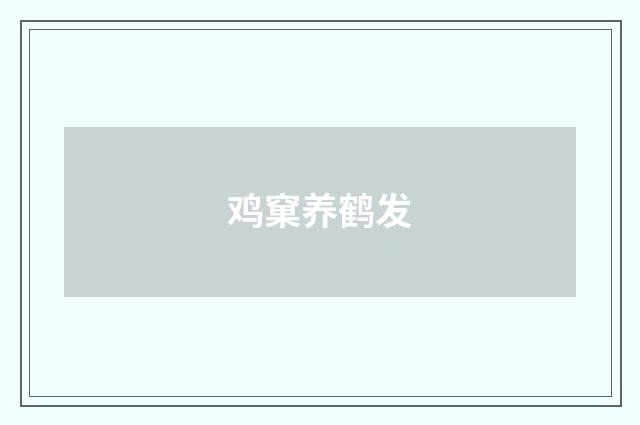 鸡窠养鹤发
