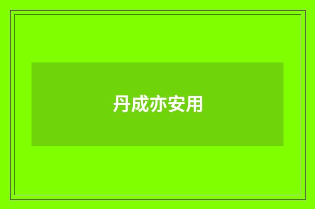 丹成亦安用