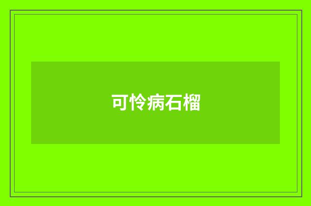 可怜病石榴
