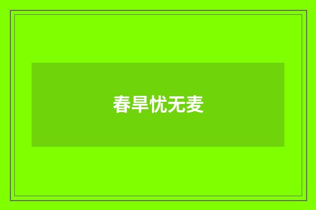 春旱忧无麦