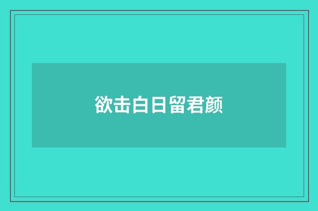 欲击白日留君颜