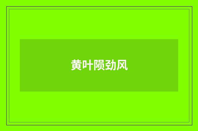 黄叶陨劲风
